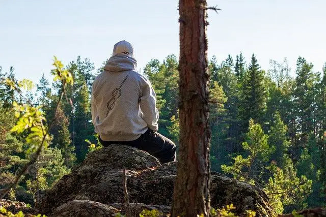 Hoodie de qualité pour homme | Carhartt, Stan Ray, Knickerbocker